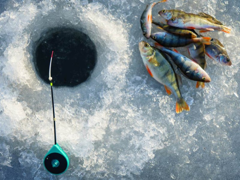 Learn about ice fishing game